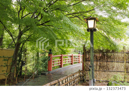 伊豆市修禅寺の秋 伊豆市修禅寺の秋 132373473