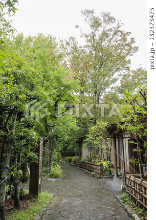 伊豆市修禅寺の秋 132373475