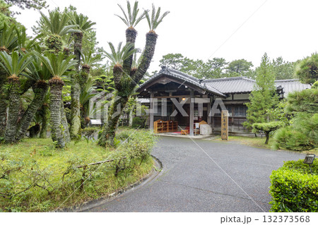 沼津御用邸記念公園の秋 沼津御用邸記念公園の秋 132373568