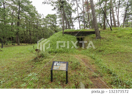 沼津御用邸記念公園の秋 132373572