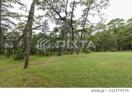 沼津御用邸記念公園の秋 沼津御用邸記念公園の秋 132373574