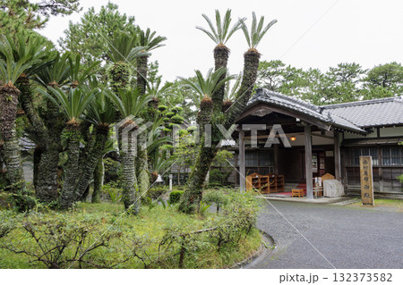 沼津御用邸記念公園の秋 132373582