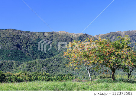里の秋　マキノ町の田園風景　滋賀県高島市 132373592