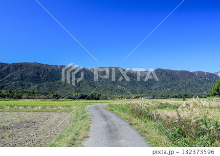 稲刈りの終わったのどかな田園風景　滋賀県高島市マキノ町 132373596