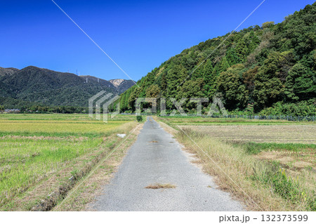 稲刈りの終わったのどかな田園風景　滋賀県高島市マキノ町 132373599