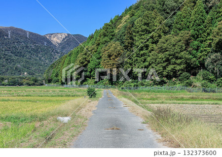 稲刈りの終わったのどかな田園風景 滋賀県高島市マキノ町 稲刈りの終わったのどかな田園風景 滋賀県高島市マキノ町 132373600