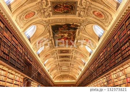 Senate of french republic, library, Paris, France 132373821