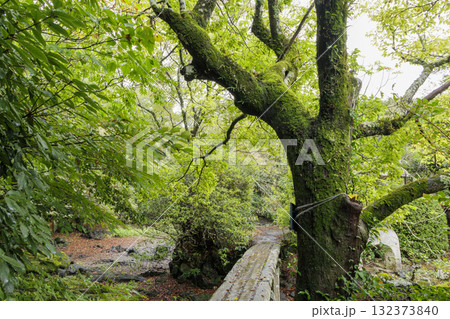 楽寿園の初秋 132373840