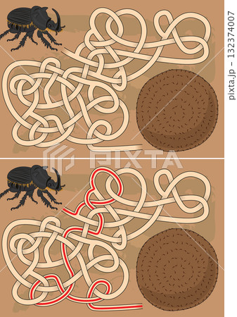 Rhinoceros beetle maze 132374007