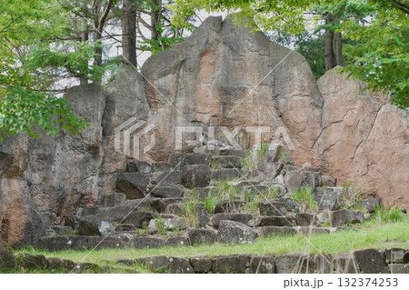 日本の神奈川県横浜市の動物園の動物　ニホンカモシカ 132374253