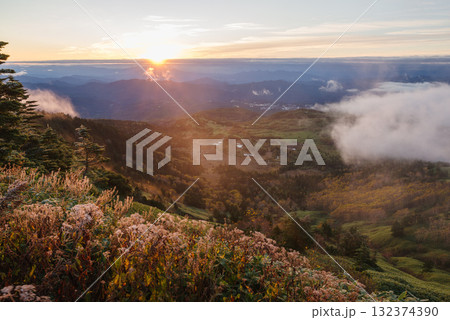 朝日に照らされる芳ヶ平湿原・日本国道標高最高地点から　　　　　　　　　　　　　　　　　　　　　　　　 132374390