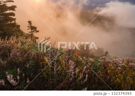 朝日に照らされる芳ヶ平湿原・日本国道標高最高地点から　　　　　　　　　　　　　　　　　　　　　　　　 132374393