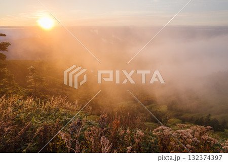朝日に照らされる芳ヶ平湿原・日本国道標高最高地点から　　　　　　　　　　　　　　　　　　　　　　　　 132374397