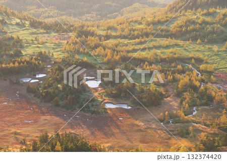 朝日に照らされる芳ヶ平湿原・日本国道標高最高地点から　　　　　　　　　　　　　　　　　　　　　　　　 132374420