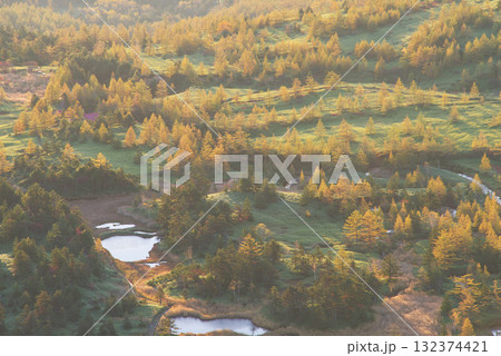 朝日に照らされる芳ヶ平湿原・日本国道標高最高地点から　　　　　　　　　　　　　　　　　　　　　　　　 132374421