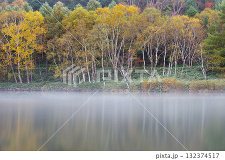 志賀高原・木戸池の紅葉 志賀高原・木戸池の紅葉 132374517