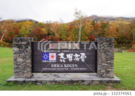 志賀高原の紅葉【蓮池】 志賀高原の紅葉【蓮池】 132374561