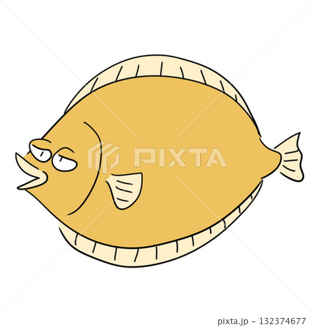 ヒラメのイラスト ヒラメのイラスト 132374677