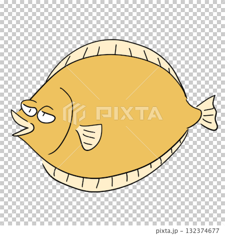 ヒラメのイラスト ヒラメのイラスト 132374677