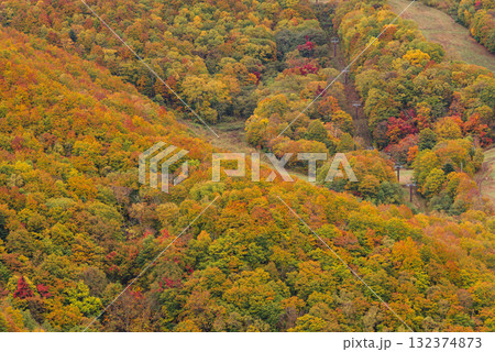 志賀高原の紅葉 志賀高原の紅葉 132374873