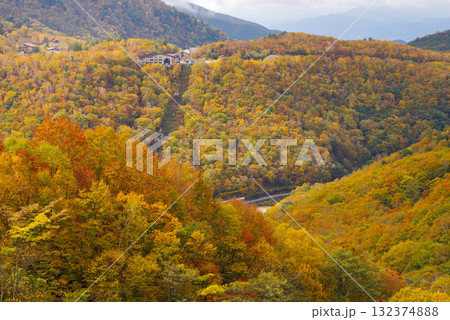 志賀高原の紅葉 132374888