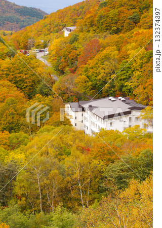 志賀高原の紅葉 志賀高原の紅葉 132374897