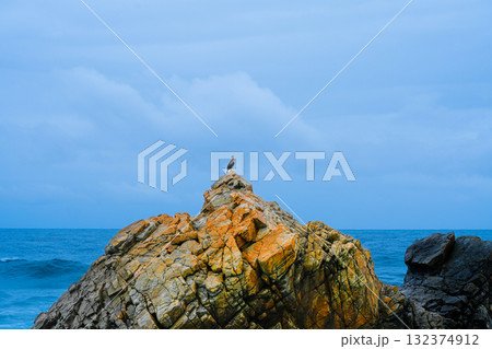 Great Cormorant Phalacrocorax carbo sits on the rock, East sea, South Korea 132374912
