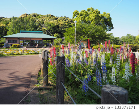 袖ケ浦公園 132375171