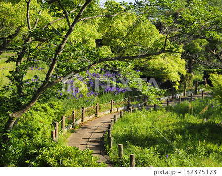 袖ケ浦公園 袖ケ浦公園 132375173