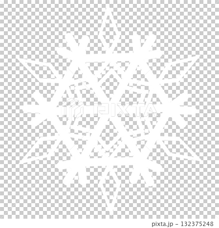 白い綺麗な雪の結晶 132375248