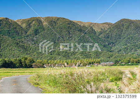 田園からの野坂山地の景観 滋賀県高島市マキノ町 田園からの野坂山地の景観 滋賀県高島市マキノ町 132375599