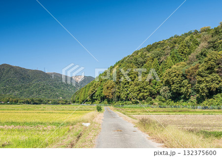 稲刈りの終わったのどかな田園風景 滋賀県高島市マキノ町 稲刈りの終わったのどかな田園風景 滋賀県高島市マキノ町 132375600