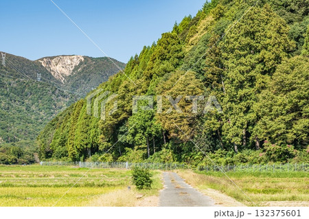 稲刈りの終わったのどかな田園風景 滋賀県高島市マキノ町 稲刈りの終わったのどかな田園風景 滋賀県高島市マキノ町 132375601