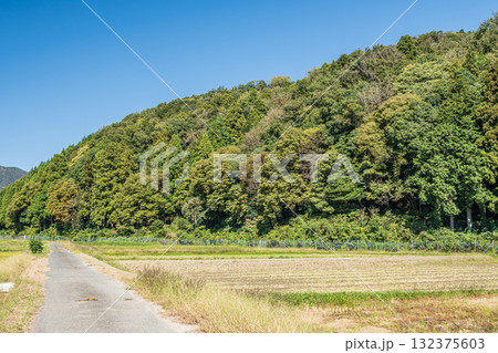稲刈りの終わったのどかな田園風景 滋賀県高島市マキノ町 稲刈りの終わったのどかな田園風景 滋賀県高島市マキノ町 132375603