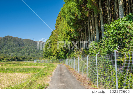山裾に続く農道　滋賀県高島市マキノ町 132375606