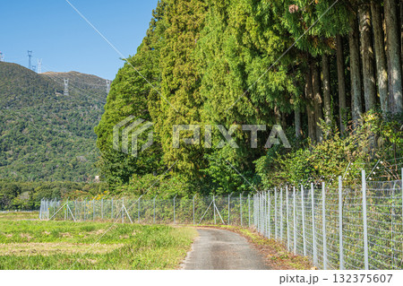 山裾に続く農道 滋賀県高島市マキノ町 山裾に続く農道 滋賀県高島市マキノ町 132375607