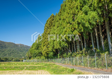 山裾に続く農道　滋賀県高島市マキノ町 132375608