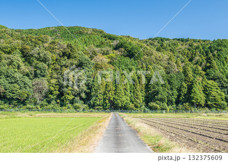 収穫後ののどかな田園風景　滋賀県高島市マキノ町 132375609
