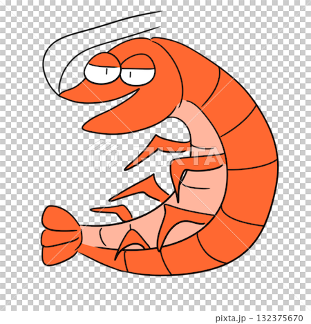 エビのイラスト 132375670