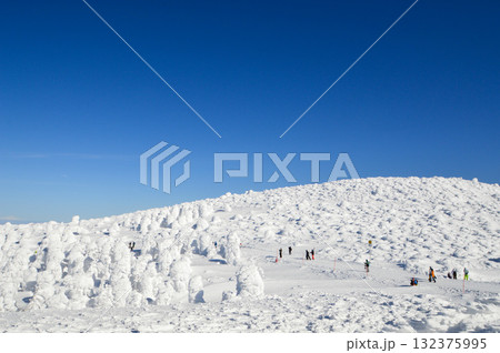 蔵王 スキー場 蔵王 スキー場 132375995