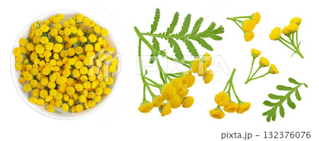 Tansy flower or Tanacetum vulgare in ceramic bowl isolated on white background. Top view. Flat lay. Tansy flower or Tanacetum vulgare in ceramic bowl isolated on white background. Top view. Flat lay. 132376076