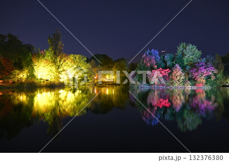 中島公園　夜景　紅葉 132376380