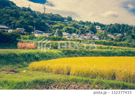 【秋】田舎の景色【長野県】 【秋】田舎の景色【長野県】 132377433