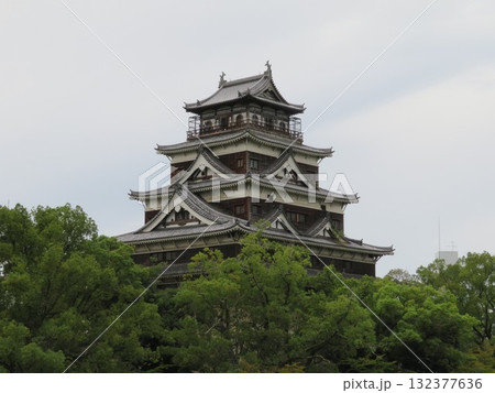 新緑に包まれる広島城天守閣 132377636