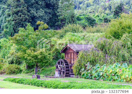 山形河北町の紅花資料館の静かなたたずまい 山形河北町の紅花資料館の静かなたたずまい 132377694
