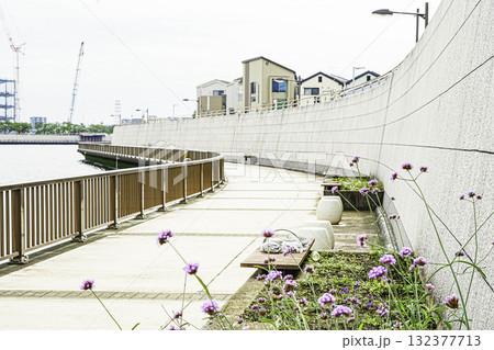 中川テラスにある小さな花 中川テラスにある小さな花 132377713