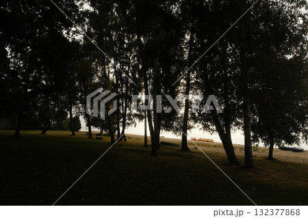 Lake Shore Trees Beach Autumn Light Lake Shore Trees Beach Autumn Light 132377868