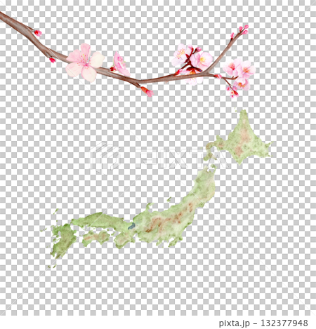 Map of Japan decorated with delicate cherry blossom branch. Hand-painted watercolor clip art isolated on white. Perfect for travel, culture, spring design, decor, or educational geography projects 132377948