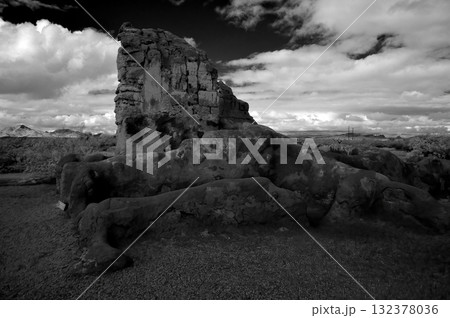 Casa Grande National Monument Black and White 132378036