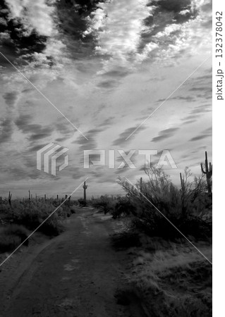 Sonora Desert Arizona in Infrared 132378042